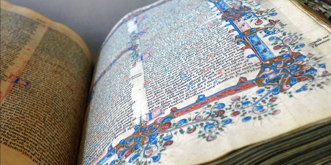 Skibidi Delulu TikTok